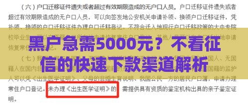 黑户急需5000元？不看征信的快速下款渠道解析