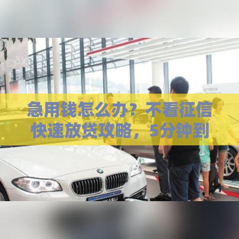 急用钱怎么办？不看征信快速放贷攻略，5分钟到账全解析