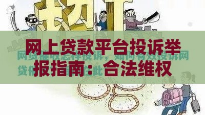网上贷款平台投诉举报指南：合法维权与避坑技巧