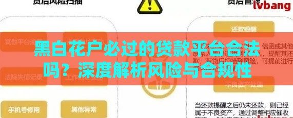 黑白花户必过的贷款平台合法吗？深度解析风险与合规性
