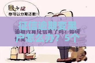 征信逾期变黑户怎么办？5个步骤教你恢复信用