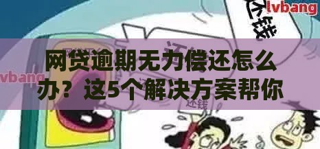 网贷逾期无力偿还怎么办？这5个解决方案帮你化解危机