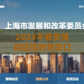 2023不看负债和征信的贷款口子真实情况解析