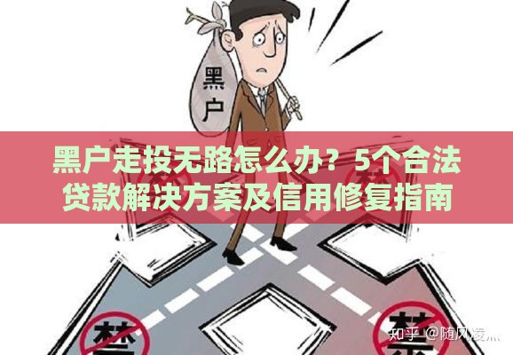黑户走投无路怎么办？5个合法贷款解决方案及信用修复指南