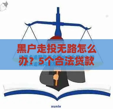 黑户走投无路怎么办？5个合法贷款解决方案及信用修复指南