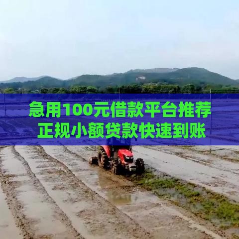 急用100元借款平台推荐 正规小额贷款快速到账