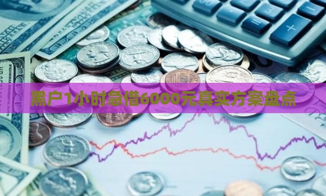 黑户1小时急借6000元真实方案盘点