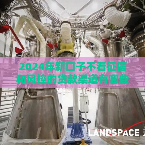 2024年新口子不看征信和风控的贷款渠道有哪些？申请必看攻略