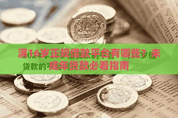 满16岁正规借款平台有哪些？未成年贷款必看指南