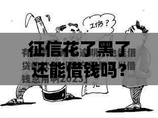 征信花了黑了还能借钱吗？2023最新借款渠道解析