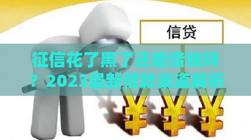 征信花了黑了还能借钱吗？2023最新借款渠道解析
