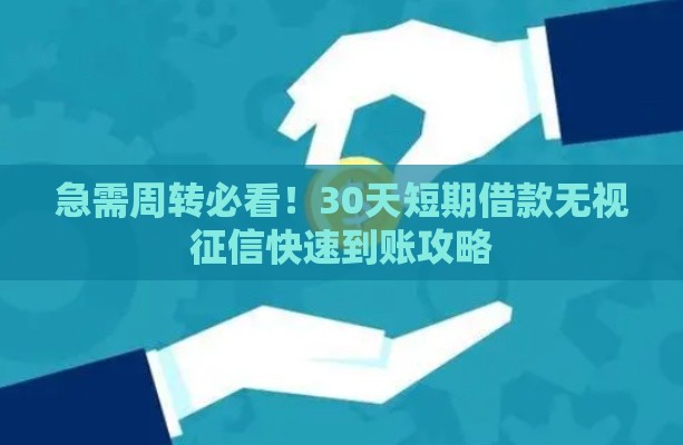 急需周转必看！30天短期借款无视征信快速到账攻略