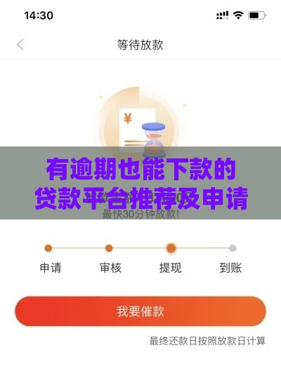 有逾期也能下款的贷款平台推荐及申请技巧