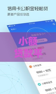 小额贷款平台审批快通过率高？真实情况深度解析