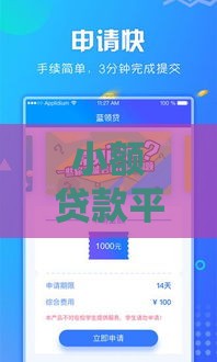 小额贷款平台审批快通过率高？真实情况深度解析
