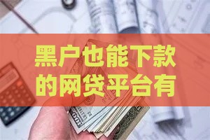 黑户也能下款的网贷平台有哪些？2023年低门槛贷款推荐