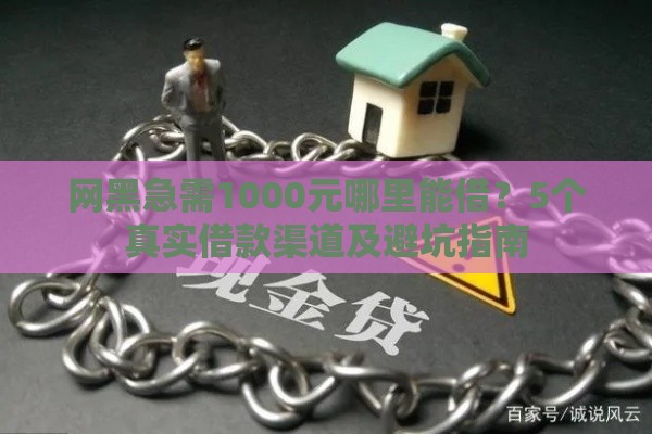 网黑急需1000元哪里能借？5个真实借款渠道及避坑指南