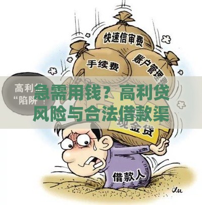 急需用钱？高利贷风险与合法借款渠道全解析