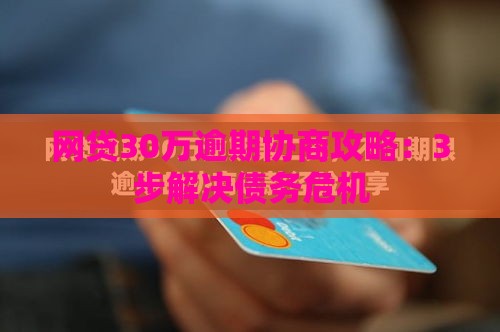 网贷30万逾期协商攻略：3步解决债务危机