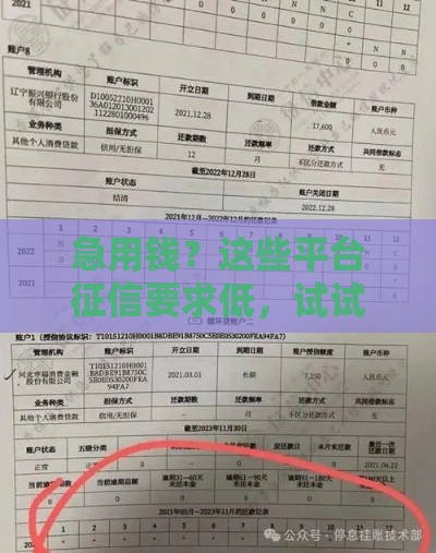 急用钱？这些平台征信要求低，试试这几个渠道！