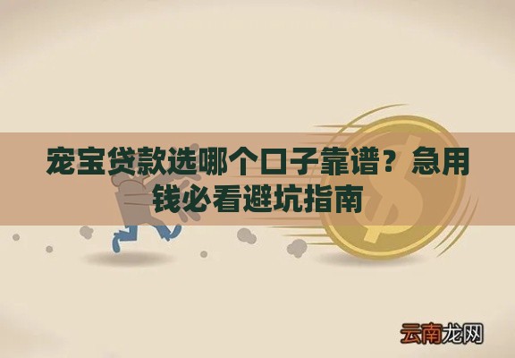 宠宝贷款选哪个口子靠谱？急用钱必看避坑指南