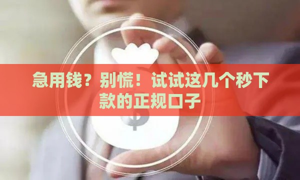 急用钱？别慌！试试这几个秒下款的正规口子