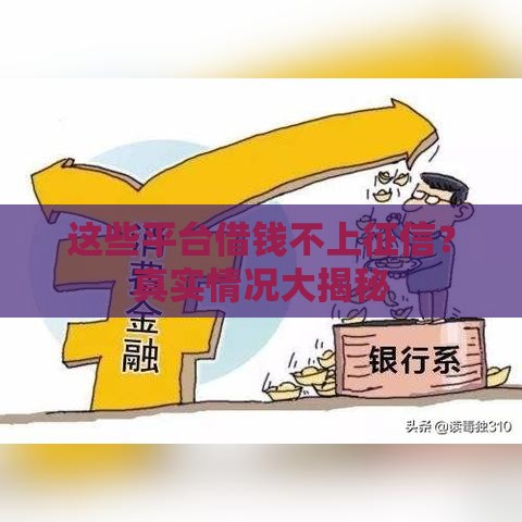 这些平台借钱不上征信？真实情况大揭秘