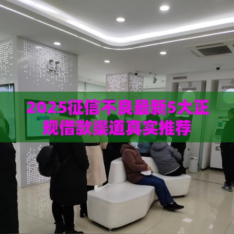 2025征信不良最新5大正规借款渠道真实推荐