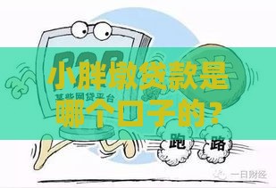 小胖墩贷款是哪个口子的？揭秘靠谱贷款渠道选择技巧！