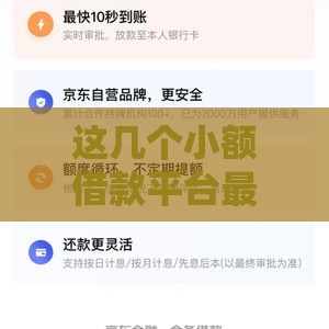 这几个小额借款平台最容易通过 最快当天到账