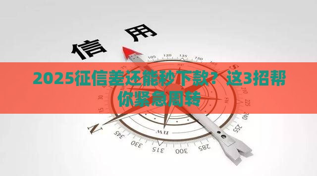 2025征信差还能秒下款？这3招帮你紧急周转