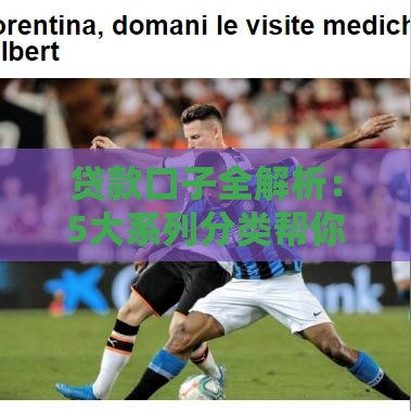 贷款口子全解析：5大系列分类帮你快速匹配资金需求