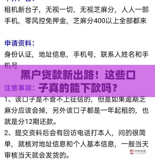 黑户贷款新出路！这些口子真的能下款吗？