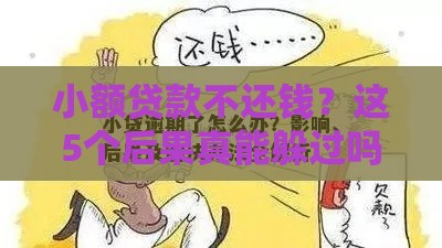 小额贷款不还钱？这5个后果真能躲过吗