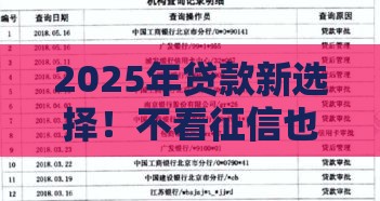 2025年贷款新选择！不看征信也能100%下款？