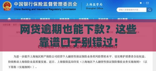 网贷逾期也能下款？这些靠谱口子别错过！