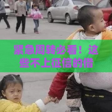 紧急周转必看！这些不上征信的借贷平台靠谱吗？优缺点一次说清