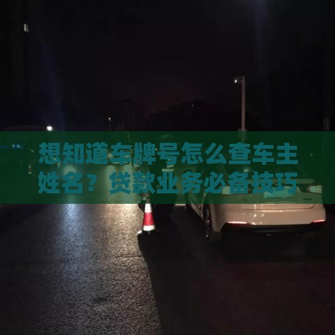 想知道车牌号怎么查车主姓名？贷款业务必备技巧揭秘！