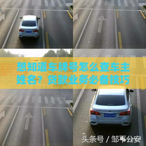 想知道车牌号怎么查车主姓名？贷款业务必备技巧揭秘！