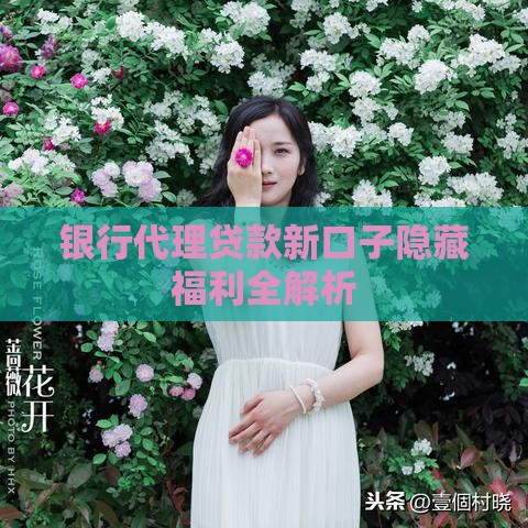 银行代理贷款新口子隐藏福利全解析