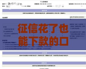 征信花了也能下款的口子汇总