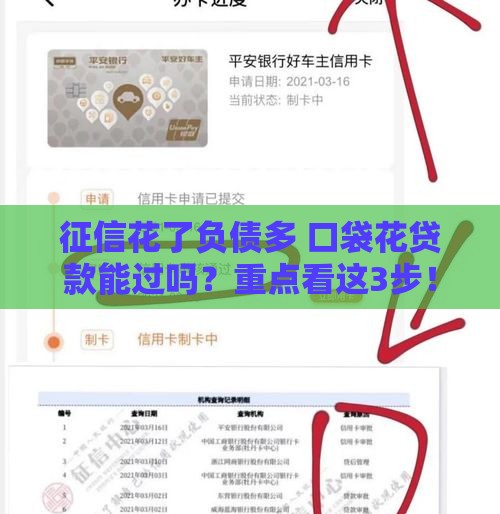 征信花了负债多 口袋花贷款能过吗？重点看这3步！