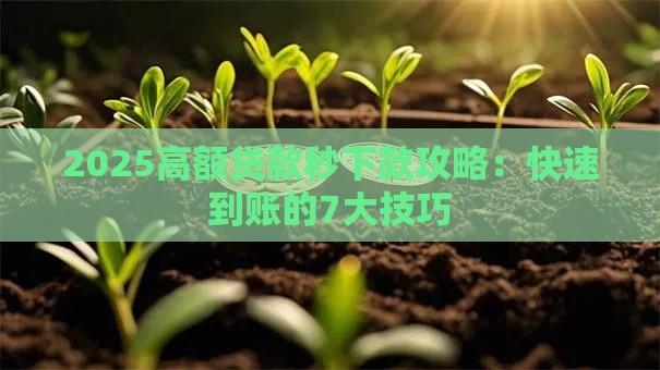 2025高额贷款秒下款攻略：快速到账的7大技巧