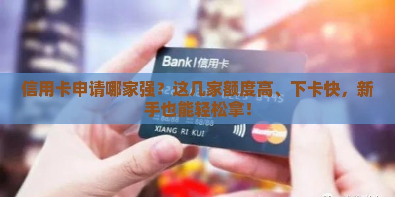信用卡申请哪家强?这几家额度高、下卡快,新手也能轻松拿! 信用卡申请哪家强?这几家额度高、下卡快,新手也能轻松拿!