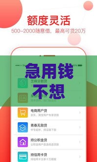 急用钱不想刷脸？这几家网贷平台审核快门槛低