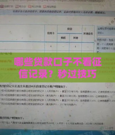 哪些贷款口子不看征信记录？秒过技巧分享