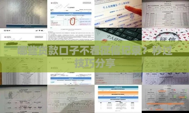 哪些贷款口子不看征信记录？秒过技巧分享