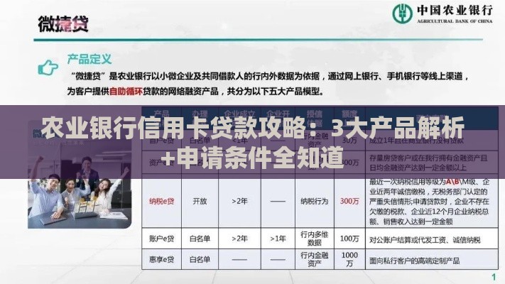农业银行信用卡贷款攻略：3大产品解析+申请条件全知道