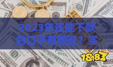 2023年还能下款的口子有哪些？实测分享这几个靠谱渠道