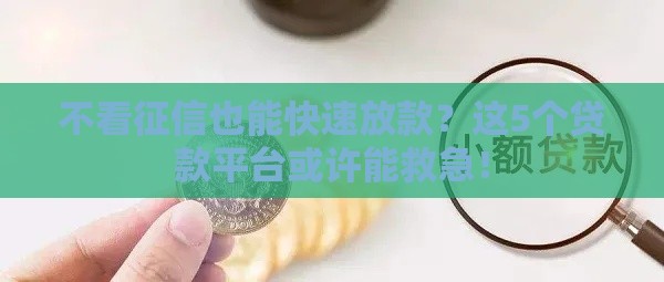 不看征信也能快速放款？这5个贷款平台或许能救急！